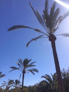 27067071_10154962304271193_2605047366313714589_n