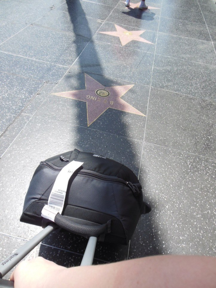 981239_10151394932656193_145082215_o