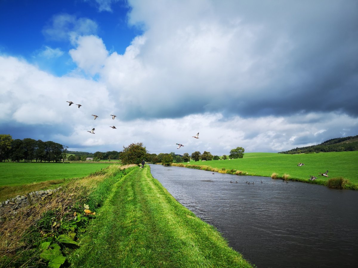 Walking the canal from Skipton to Gargrave