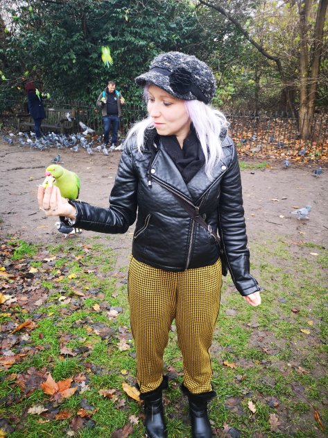 Feeding birds in Hyde Park