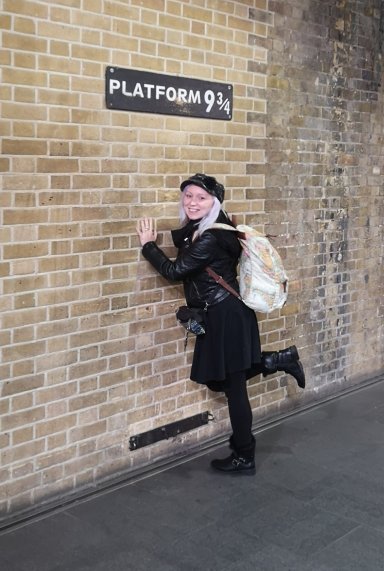 Harry Potter Platform 9 3/4