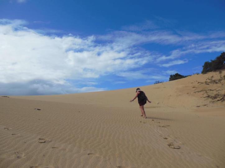 13873247_10153604499626193_3017521094614886420_n