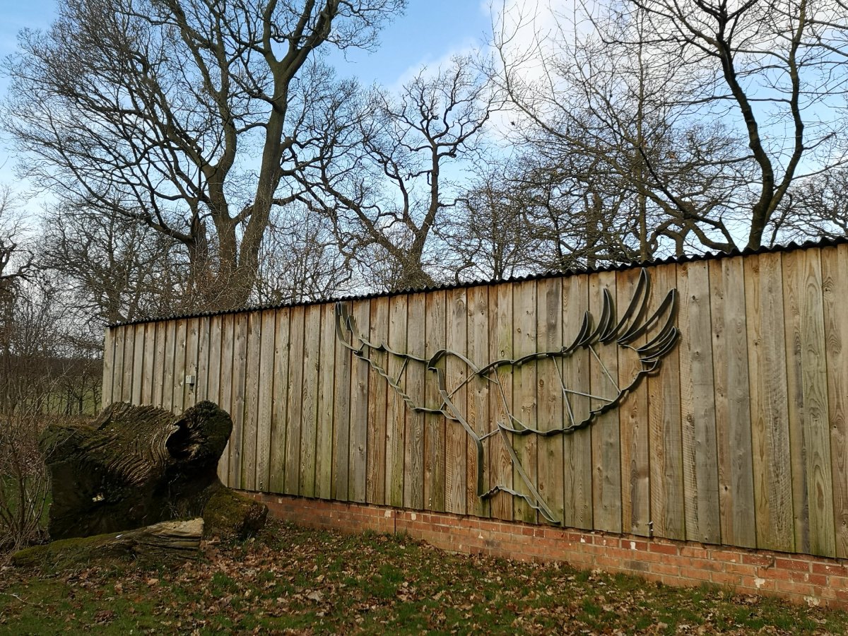 Visiting the National Centre for Birds of Prey