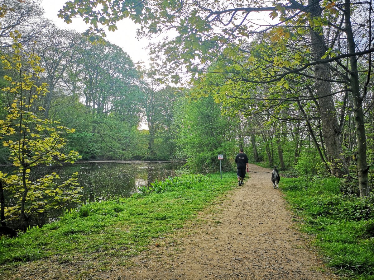 The little Farnley fish pond