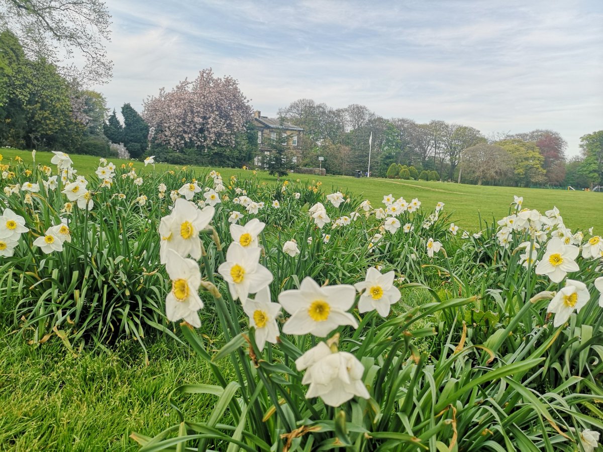 Walking around Farnley Hall Park, West Yorkshire