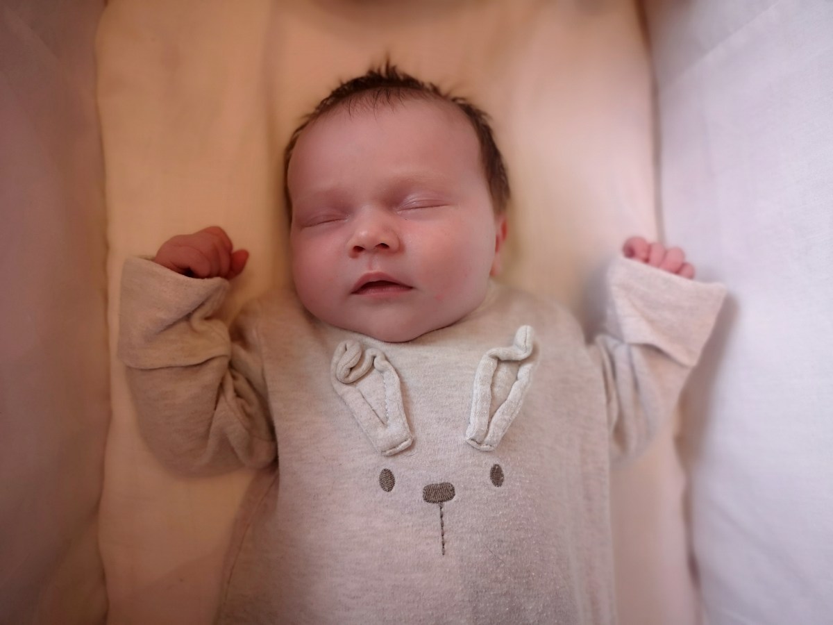 A new chapter – My growing family