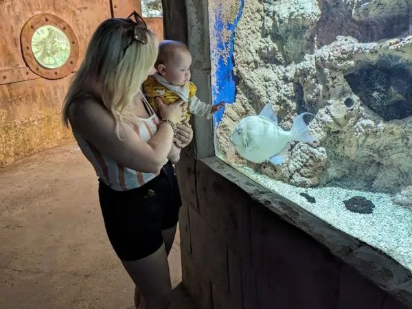 Introducing – My Adventures on Maternity Leave