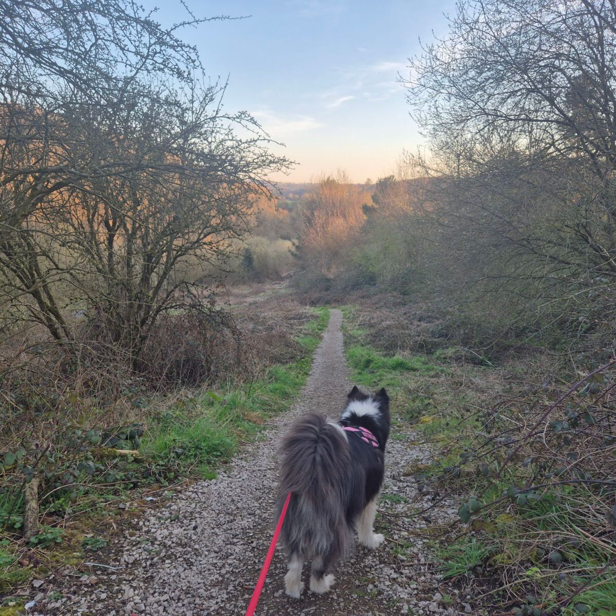 Exploring Post Hill in West Leeds Country Park