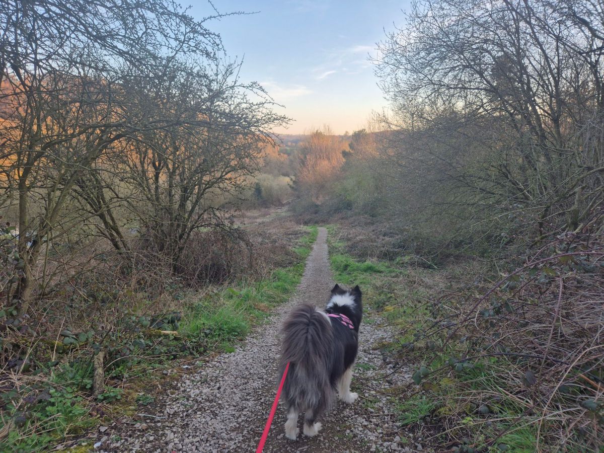 Exploring Post Hill in West Leeds Country Park