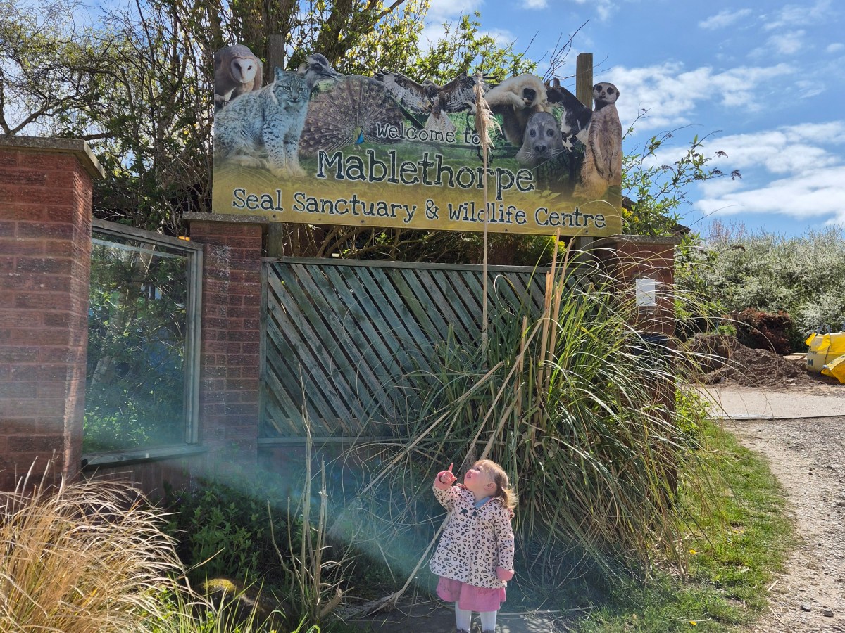Visiting Mablethorpe Seal Sanctuary & Wildlife Centre
