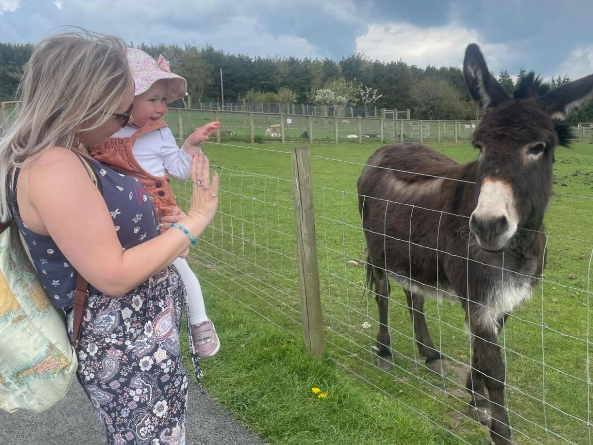 Budget-friendly family fun at None Go Bye Farm