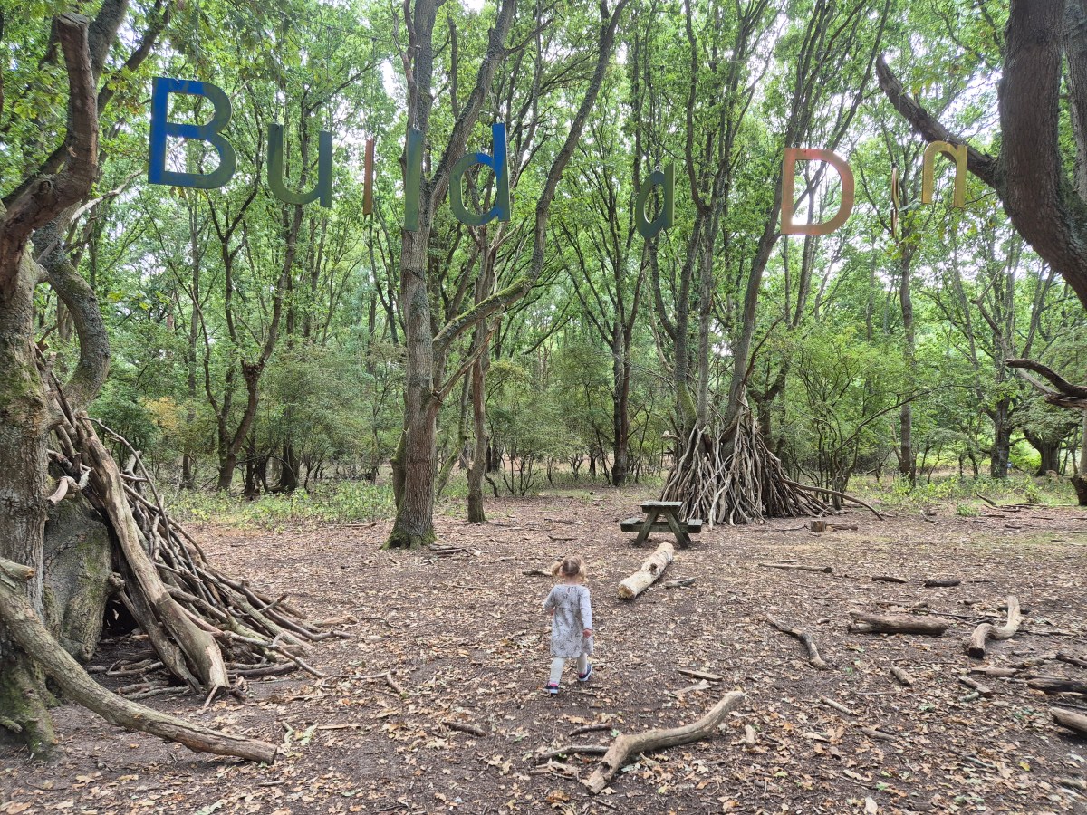 Revisiting RSPB’s Minsmere in Suffolk