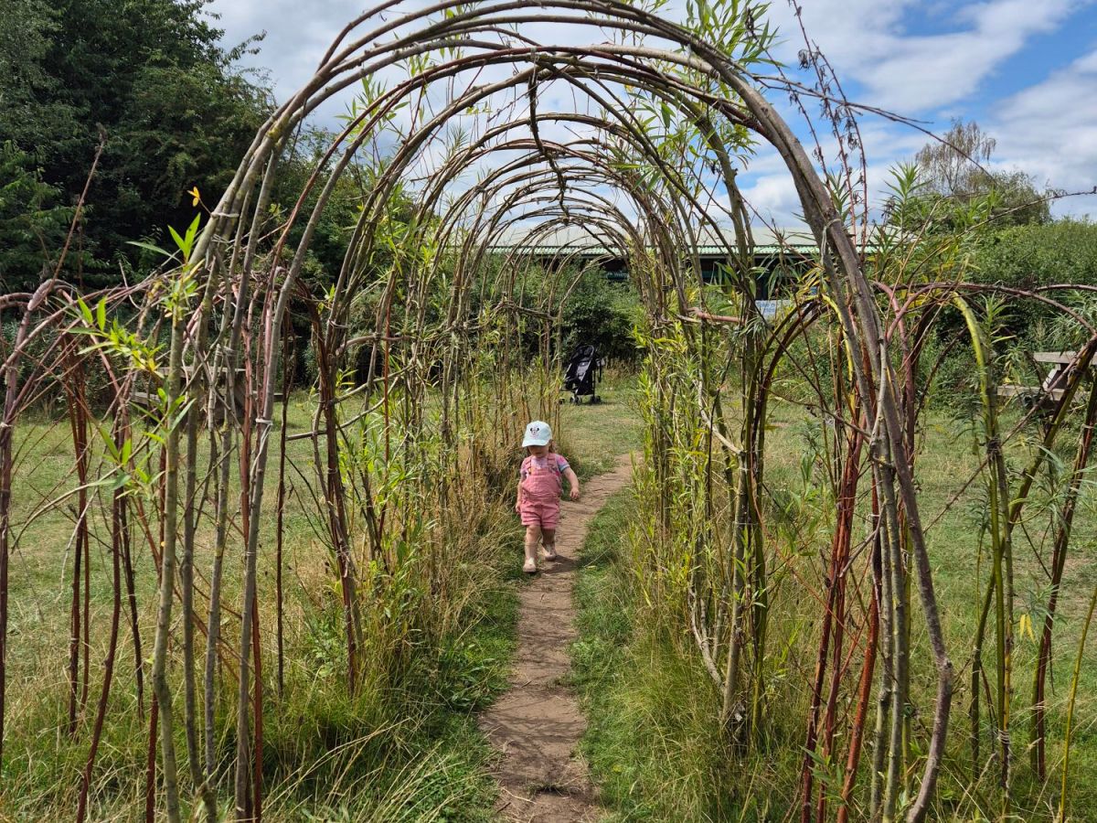 Revisiting RSPB’s Fairburn Ings