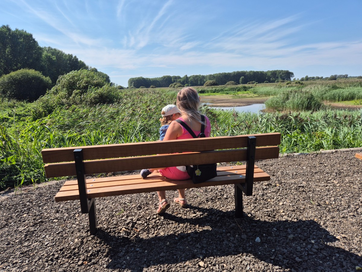 A sunny walk around RSPB Lakenheath Fen