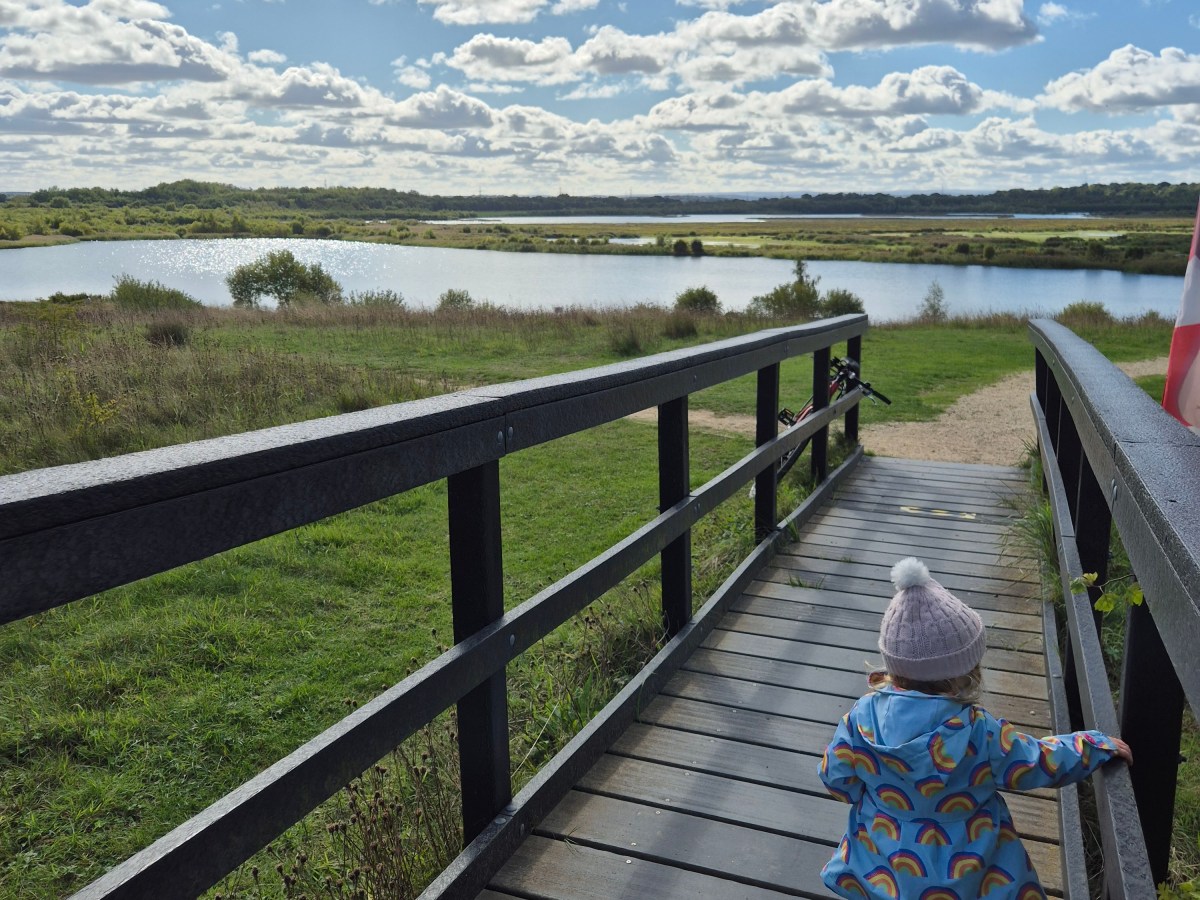 Revisiting St Aidan’s RSPB Reserve