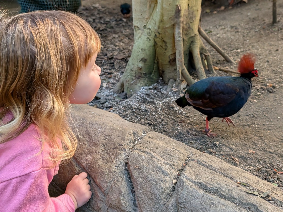 A November to remember