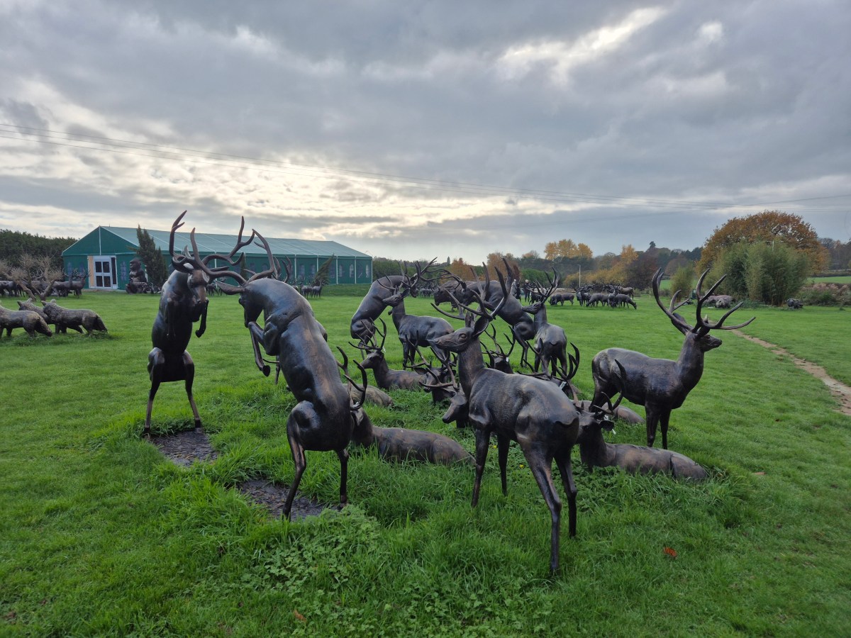 Shropshire Sculpture Park in all its glory