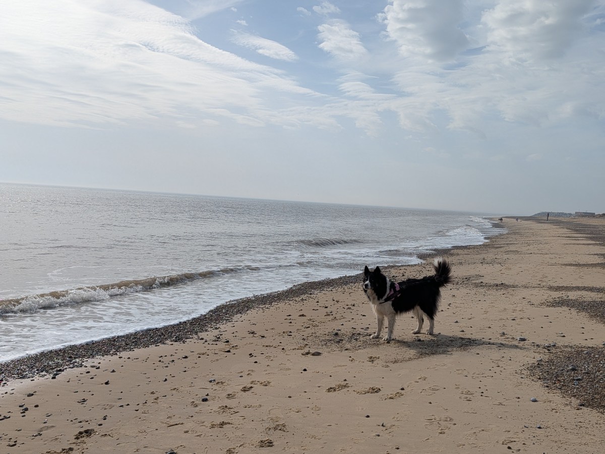 Easter half-term at Parkdean Kessingland Beach, Suffolk