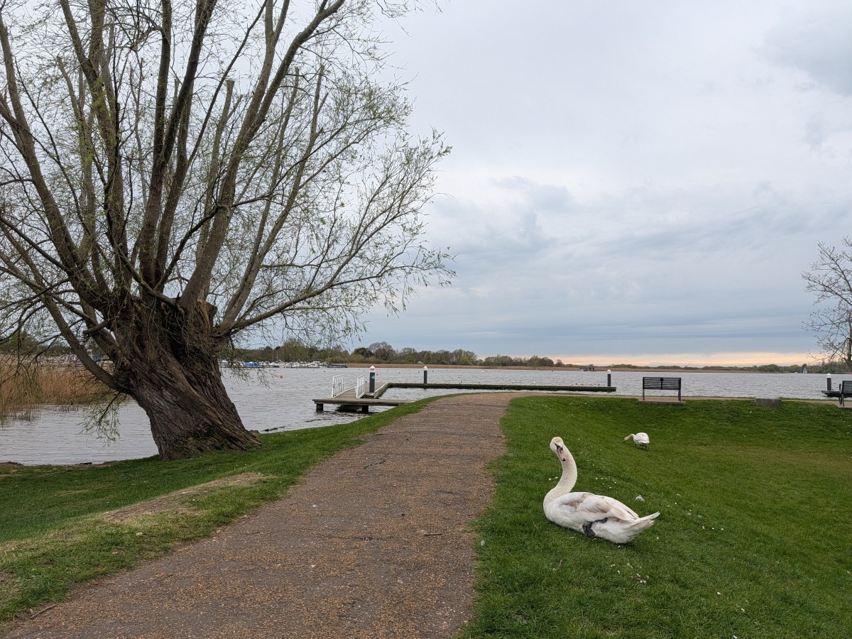 Hidden treasure at Oulton Broad, Suffolk