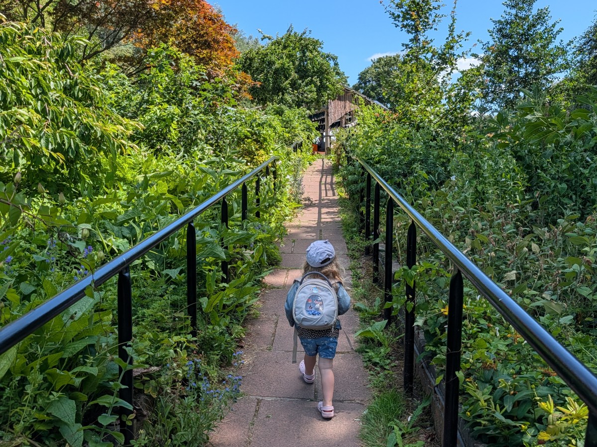 Our little visit to Meanwood Valley Farm: My toddler and I